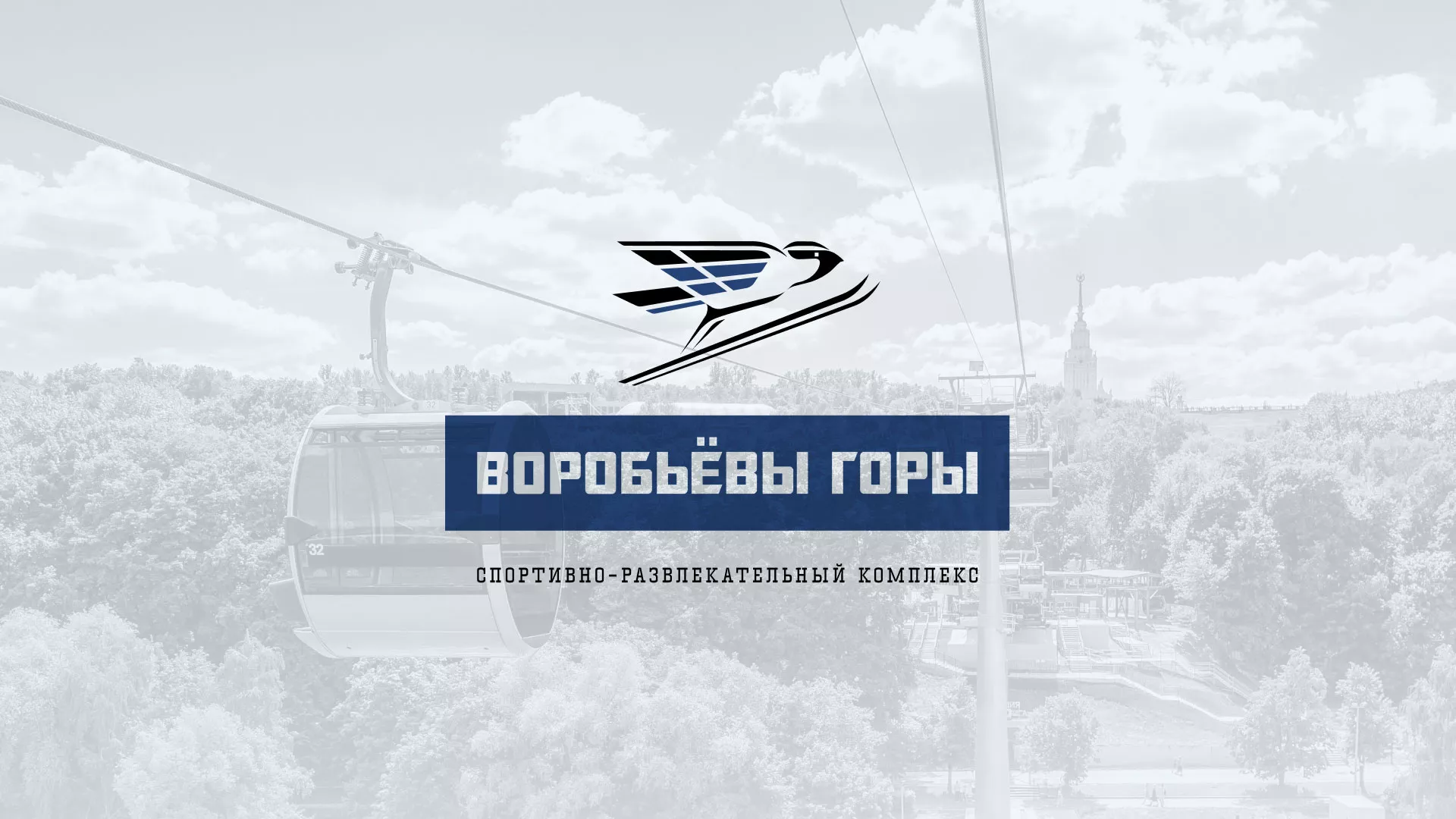 Разработка сайта в Сковородино для спортивно-развлекательного комплекса «Воробьёвы горы»