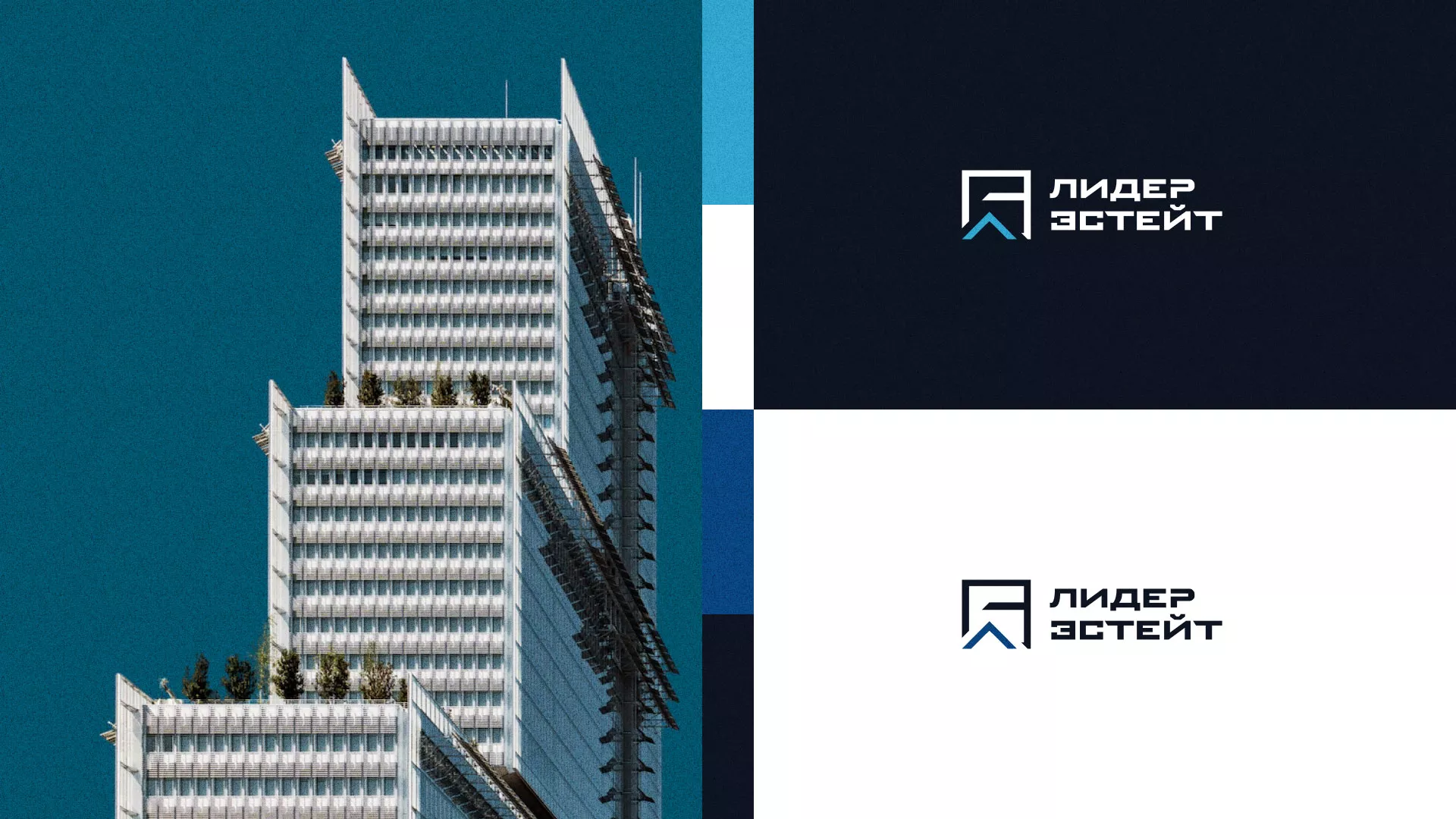 Разработка логотипа агентства недвижимости «Лидер Эстейт» в Сковородино